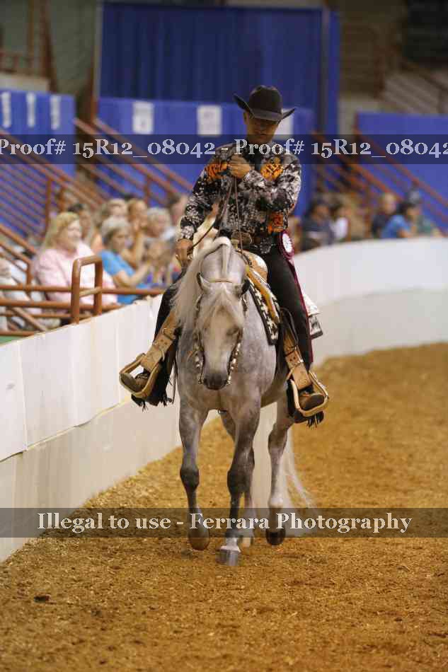 Proof 15R12_08042