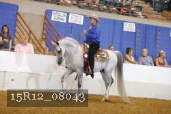 15R12_08043 proof