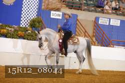 15R12_08044 proof