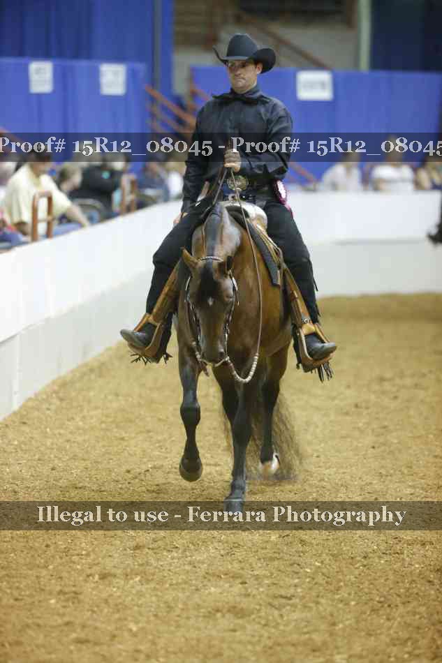 Proof 15R12_08045