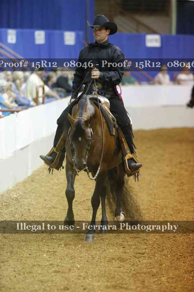 Proof 15R12_08046