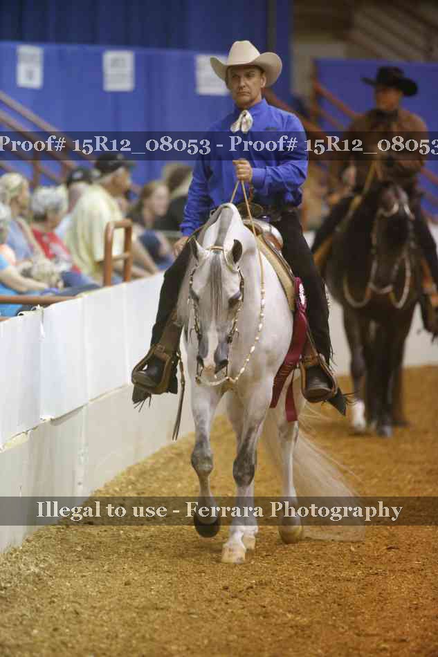 Proof 15R12_08053