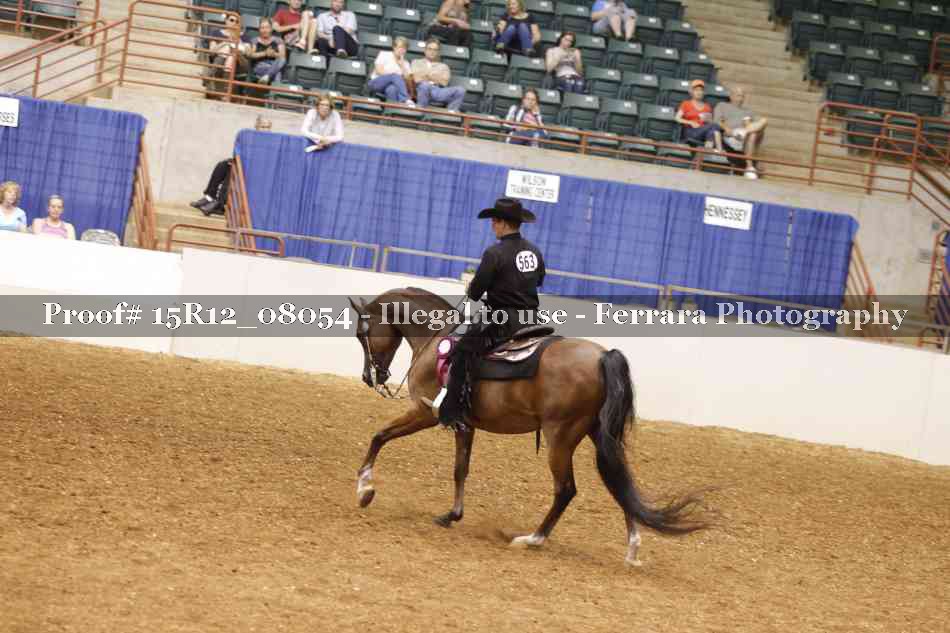 Proof 15R12_08054