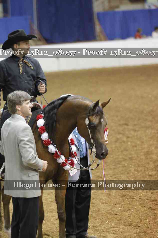 Proof 15R12_08057