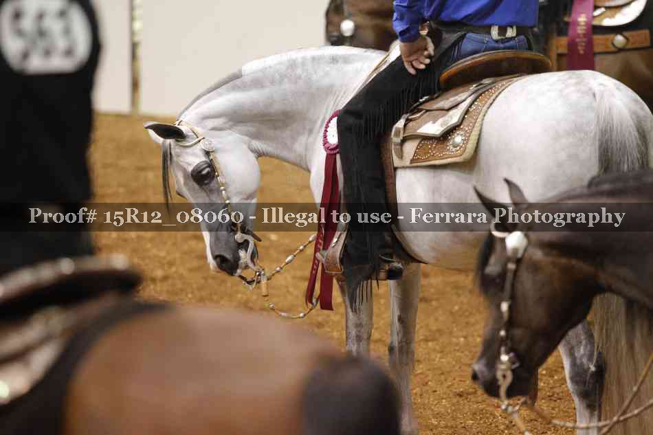Proof 15R12_08060