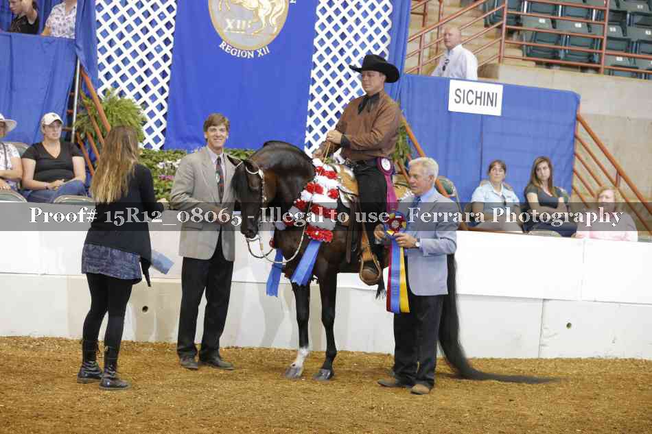 Proof 15R12_08065