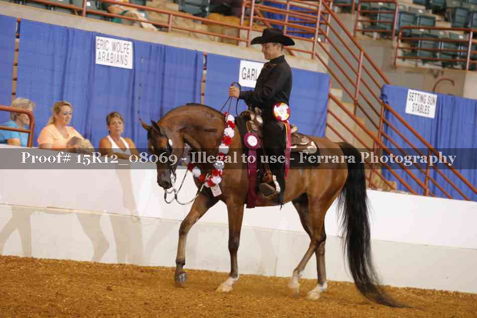 Proof 15R12_08069