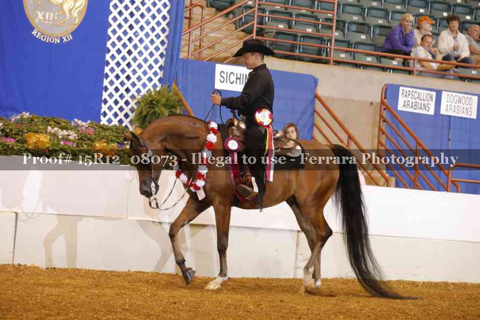 Proof 15R12_08073