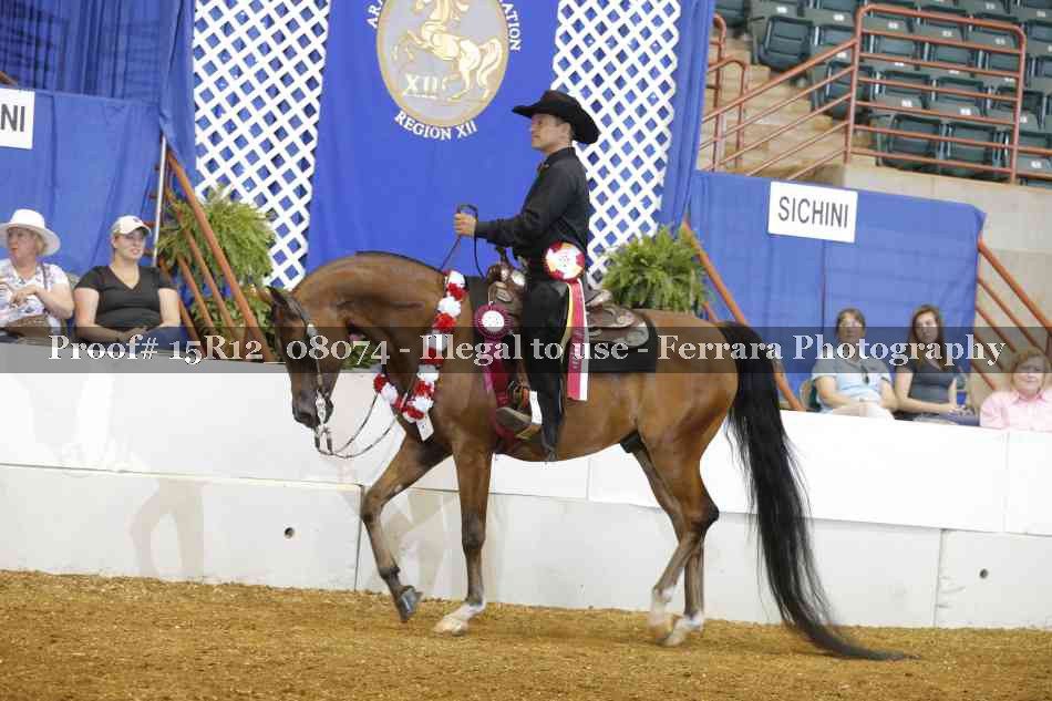 Proof 15R12_08074