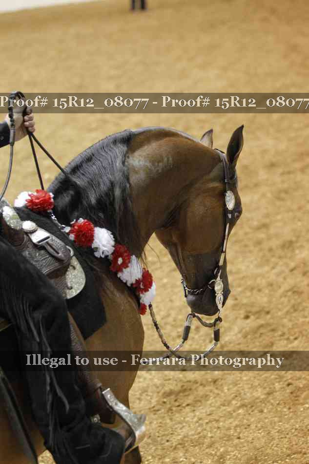 Proof 15R12_08077