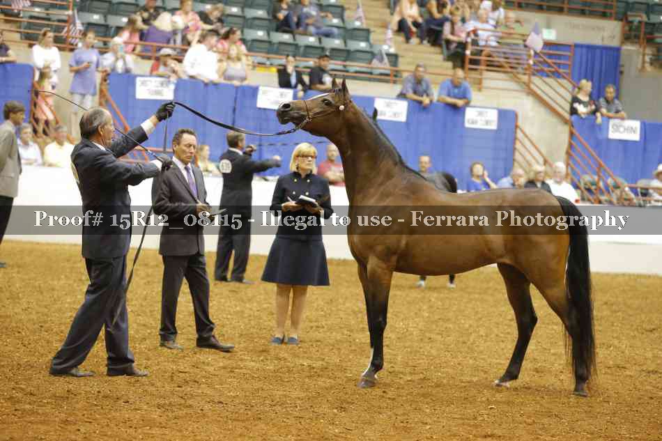 Proof 15R12_08115