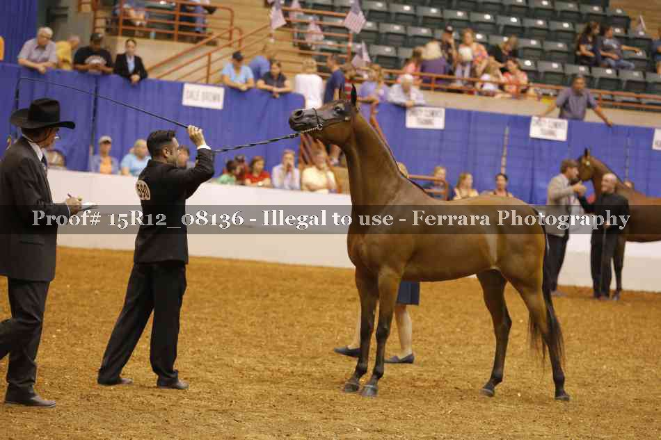 Proof 15R12_08136