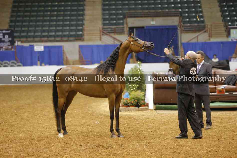 Proof 15R12_08142