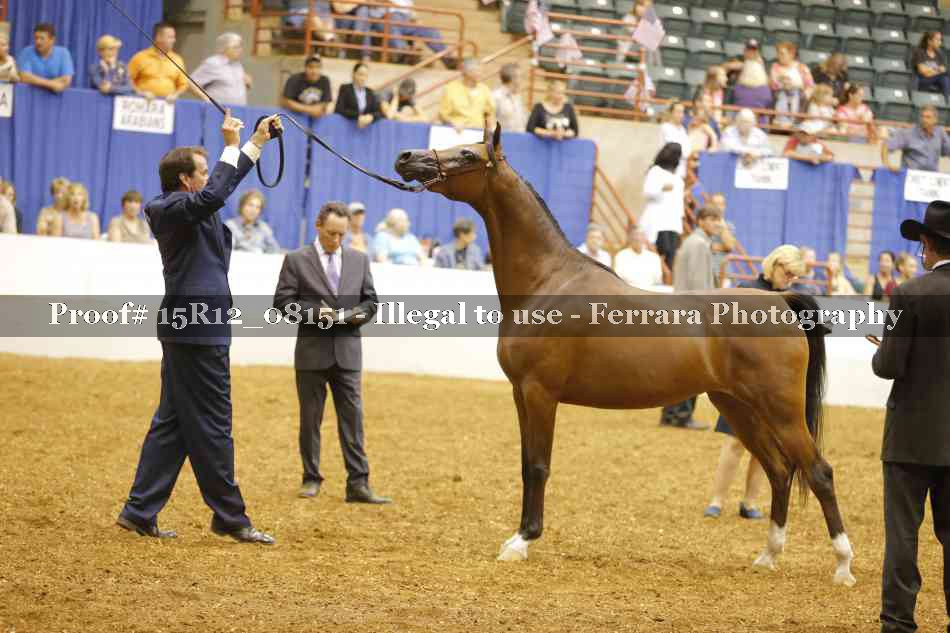 Proof 15R12_08151