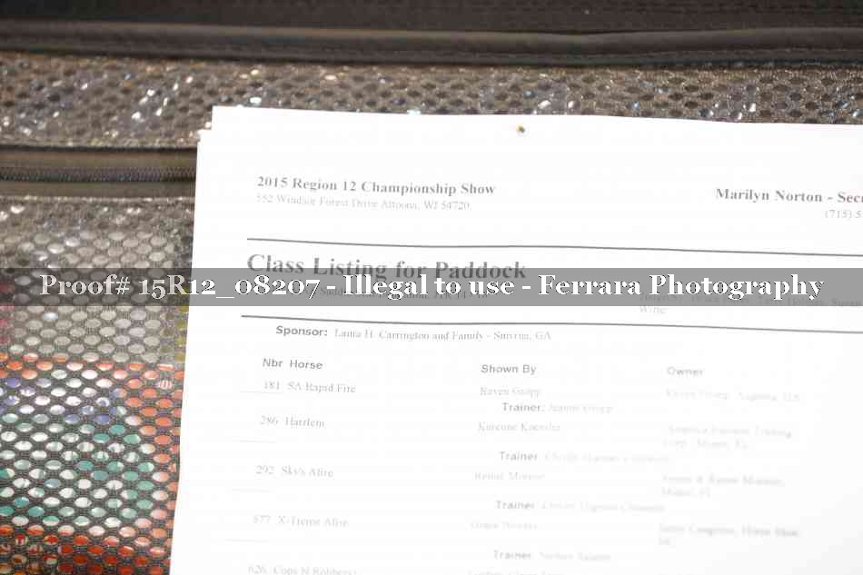 Proof 15R12_08207