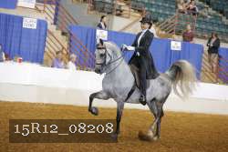 15R12_08208 proof