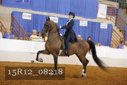 15R12_08218 proof