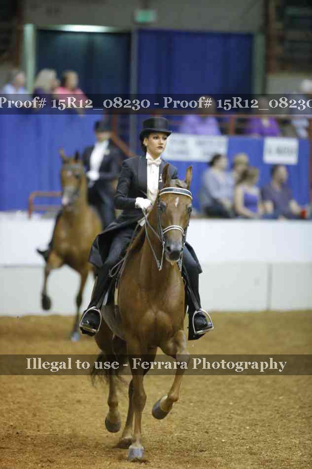 Proof 15R12_08230
