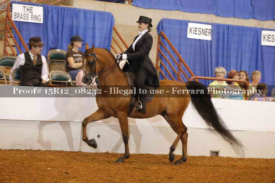 Proof 15R12_08232