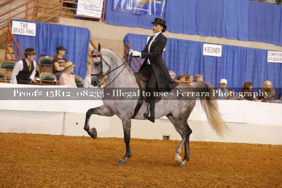 Proof 15R12_08233