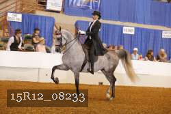 15R12_08233 proof