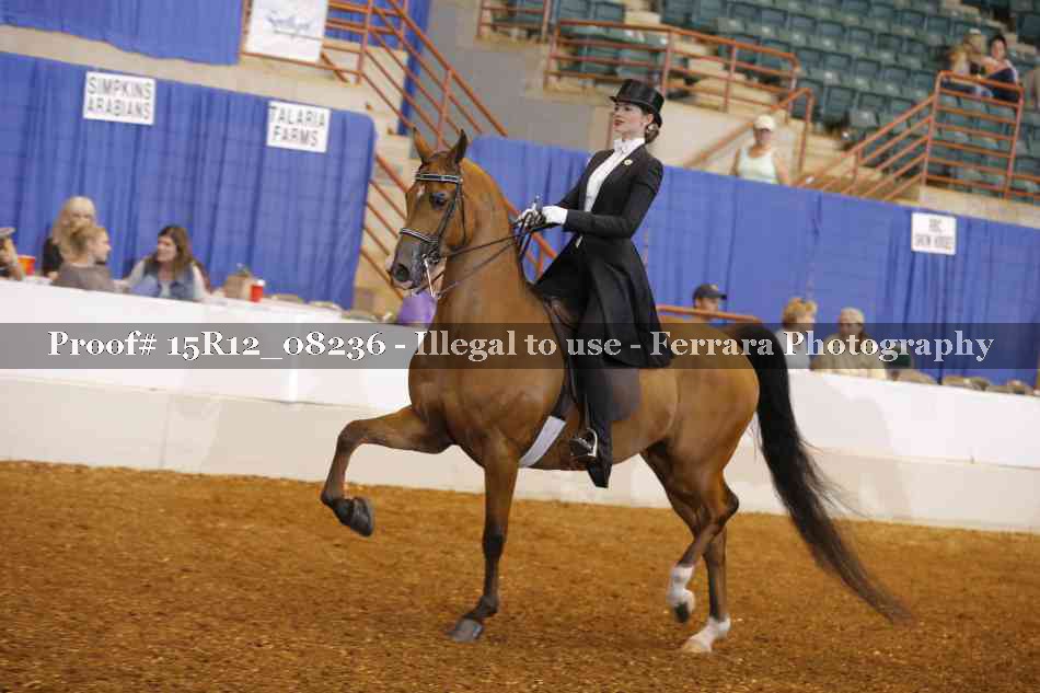 Proof 15R12_08236