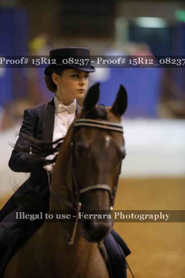 Proof 15R12_08237