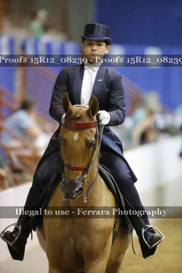 Proof 15R12_08239