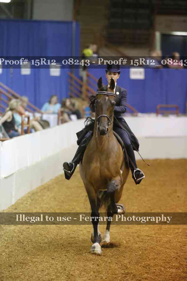 Proof 15R12_08243