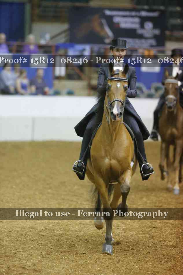 Proof 15R12_08246