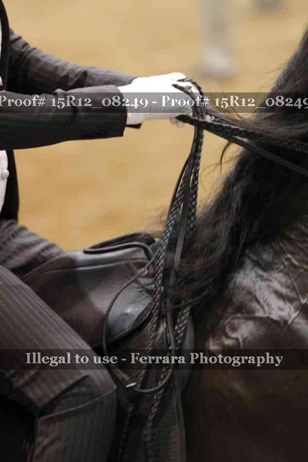 Proof 15R12_08249