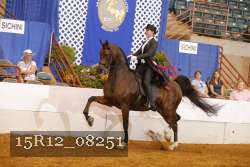 15R12_08251 proof