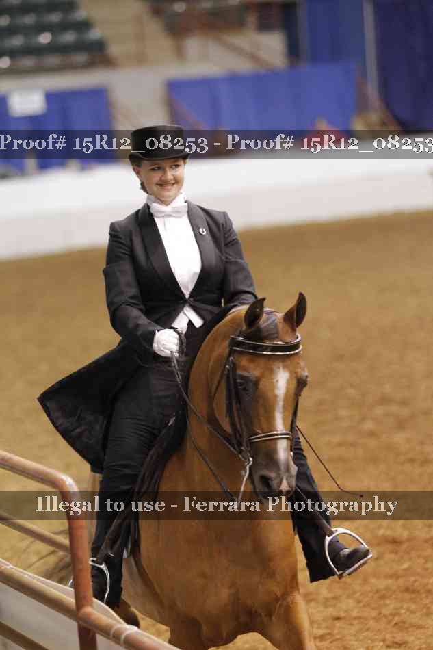 Proof 15R12_08253
