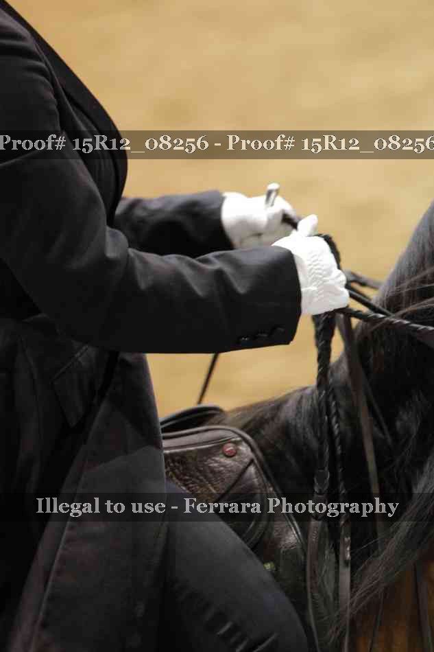 Proof 15R12_08256