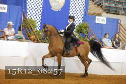 15R12_08257 proof