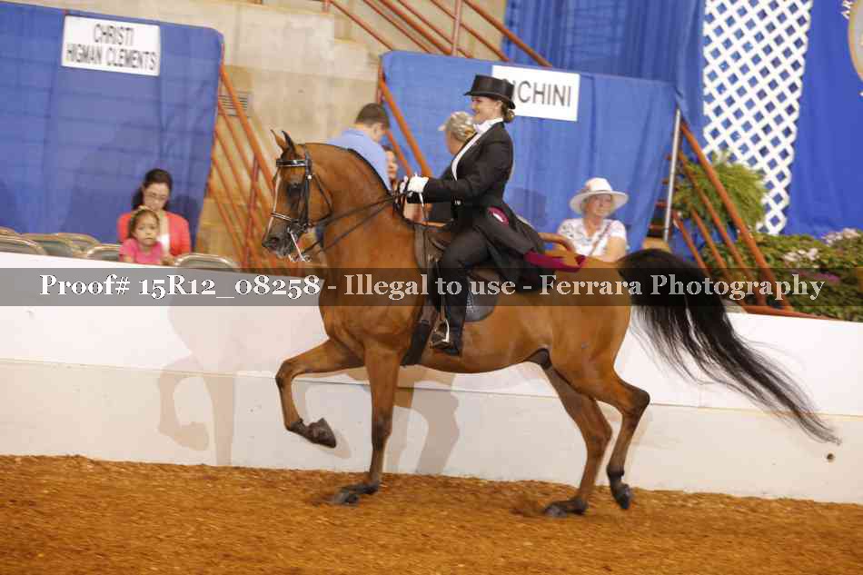 Proof 15R12_08258