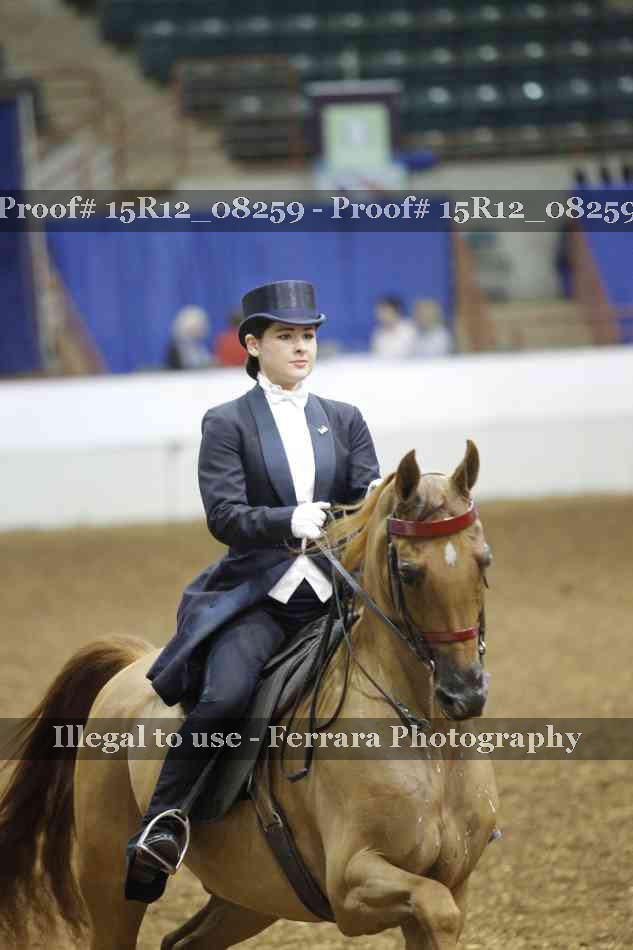 Proof 15R12_08259