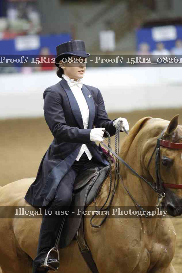 Proof 15R12_08261