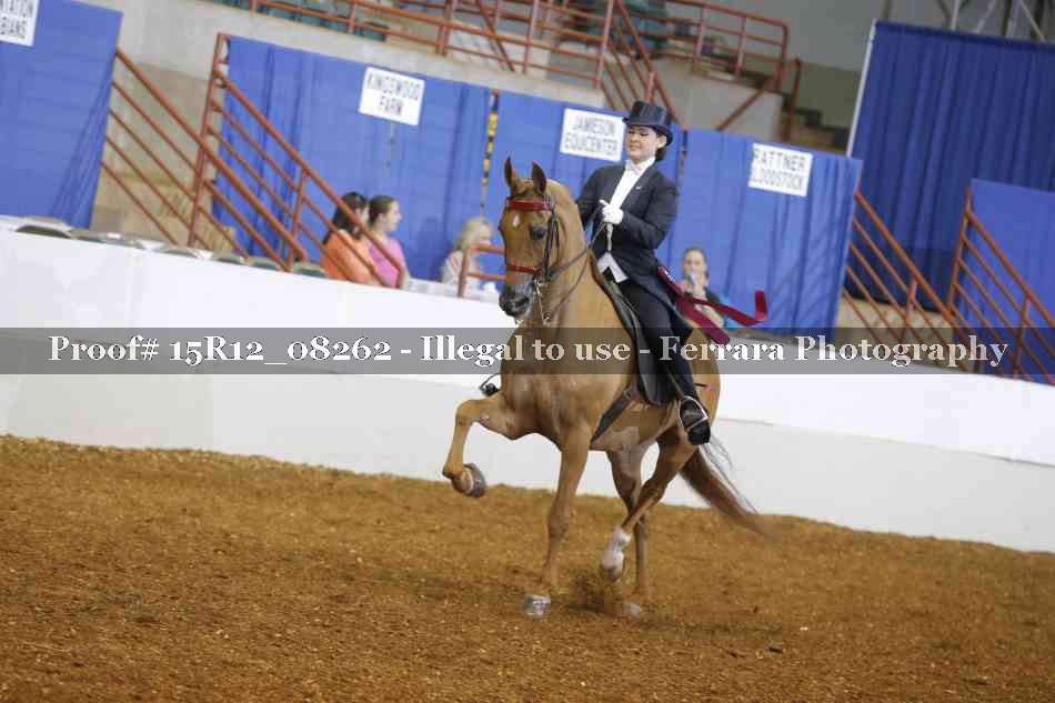 Proof 15R12_08262