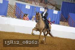15R12_08262 proof