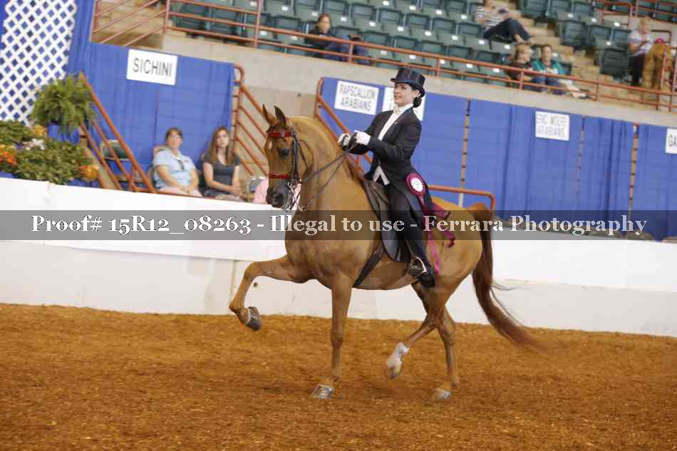 Proof 15R12_08263