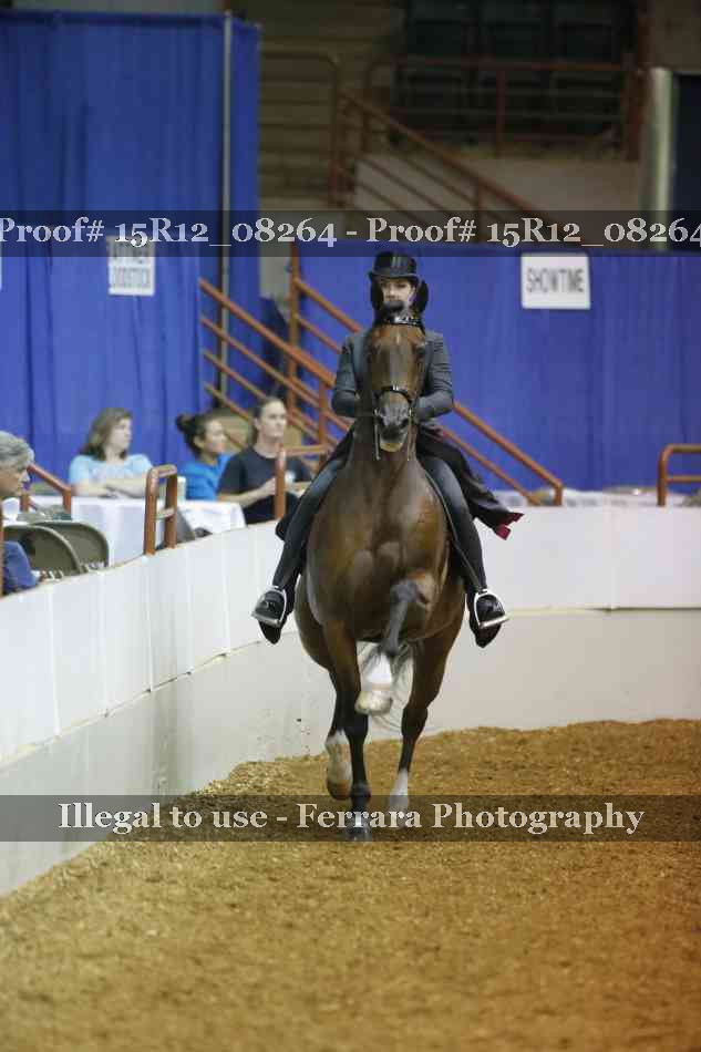 Proof 15R12_08264