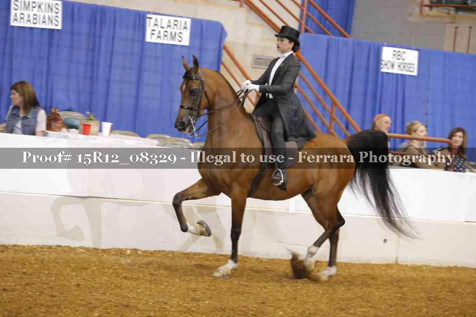 Proof 15R12_08329