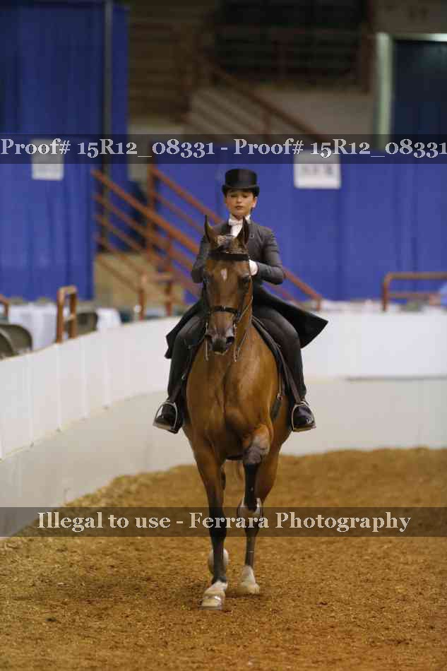Proof 15R12_08331
