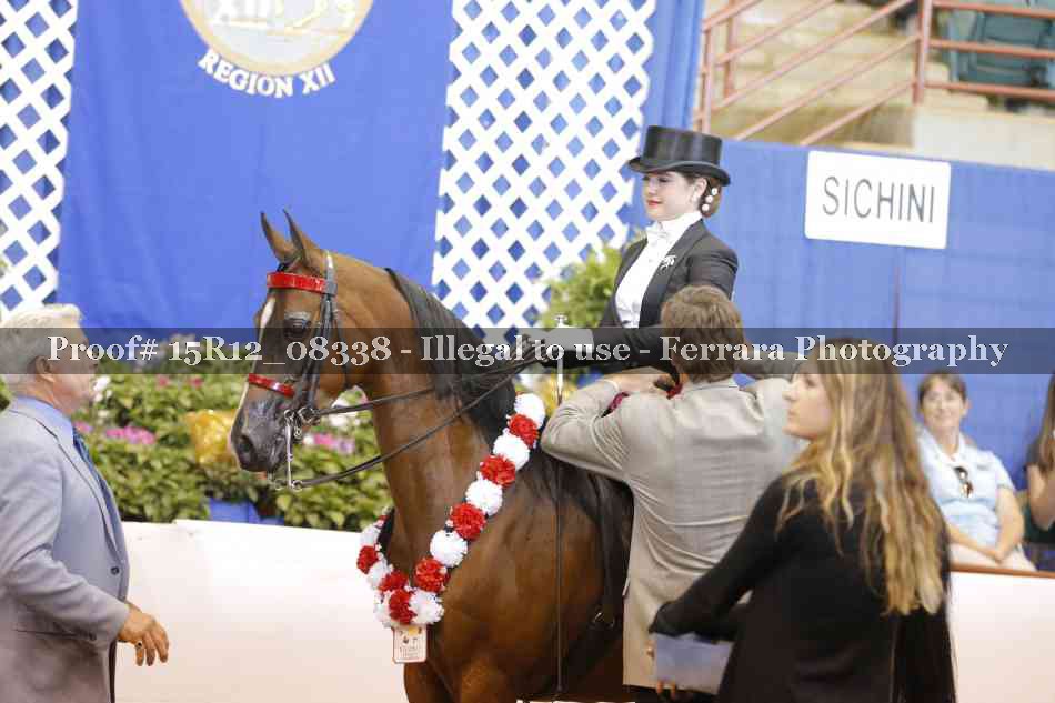 Proof 15R12_08338