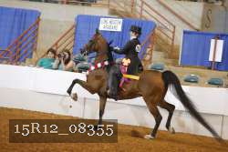 15R12_08355 proof
