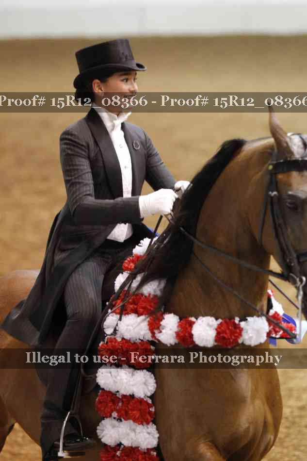 Proof 15R12_08366