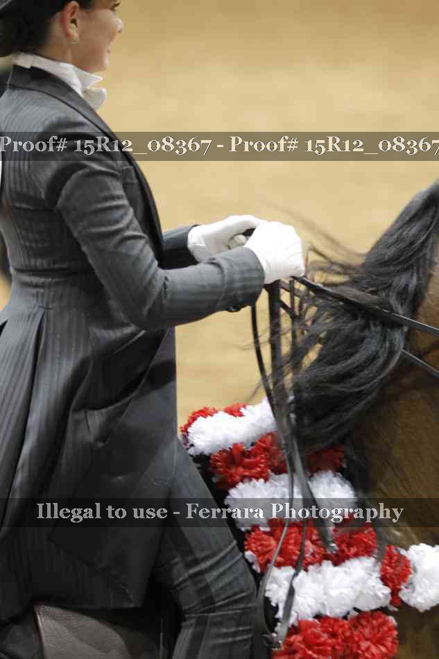 Proof 15R12_08367
