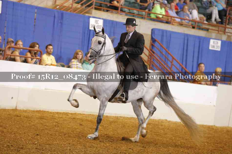 Proof 15R12_08473