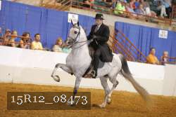 15R12_08473 proof